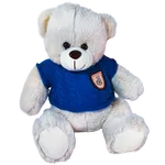 OSO ESTEBAN 20cm - AZUL