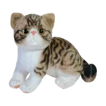 GATO ALONZO 26cm - CAFÉ